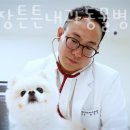 청담 장튼튼내과동물병원 이미지