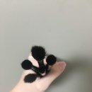 미스터리메이크업툴스