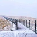 황금빛 목장 이미지