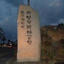 석부작 테마농원(1) (유달산/한라산등반-제주관광 5) ( 2009.1.16~1.18) 이미지