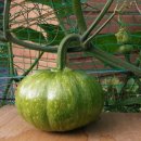 영산농장 이미지