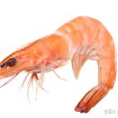 광명기대찬병원 이미지