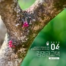 김명관약국 이미지