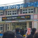 흥양초등학교 이미지