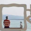 멍 때리는 전망대 이미지