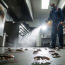 성충문구 | 좀벌레 퇴치법 이거 사용하고 끝냈어요.