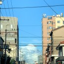 늦여름 제주.