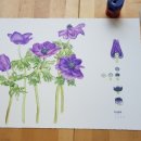 [주말]보테니컬 아트 이미지