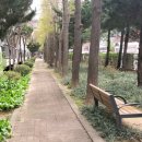 우성플러스약국 이미지