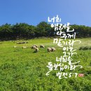 성민목장 이미지