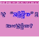아트인보이스 이미지