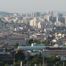 정림골흑염소 이미지