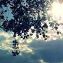 하나정보 이미지