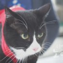 이호동물병원 이미지