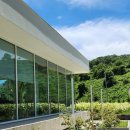 평양초계탕 막국수 | 광고X) 원주 맛집&amp;카페 추천] 건강하게 맛있는 &#39;평양초계탕막국수&#39;, 수국 뷰가 예쁜 카페 &#39;모멘도르&#39; 후기🌼