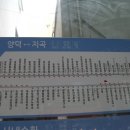 에스케이스포렉스 이미지