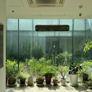 연세봄산부인과의원 네이버블로그