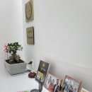 부산제일보청기 이미지