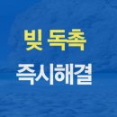 법률사무소관세 이미지