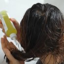 헤어트리트먼트 트렌드 뷰티크리에이터 리지가 소개한 워터트리트먼트