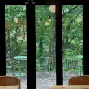 제주 애월 대형카페 숲속 산책길 이끼숲소길