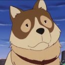 파트라슈 이미지