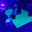 태봉초병설유치원 이미지