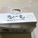 타코볼타코야끼 이미지