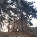 경기종묘사 이미지