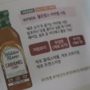 팜스펫 이미지