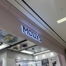 몰리스펫샵(스타필드 하남) | 삼송역-강아지랑 가기 좋은 곳! (몰리스펫샵 스타필드 고양점) 방문후기