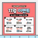 팀터틀랫 상인점 이미지