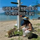 인형의 거리(뱀) | 나트랑 원숭이섬 화란섬 투어 가격 예약 먹이주기 후기