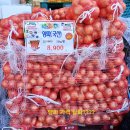 안양식자재마트 | 안양]삼덕공원마트 초특가 장보기 후기- 양파 15kg 8,900원부터 알배기(1,200)/봄동과 금실딸기 과일까지~