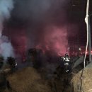 영주볏짚 이미지