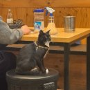 진심담다 | [서울] 화곡역 고기집! 오겹살 맛집 &#39;고기에진심을담다&#39; 솔직 후기