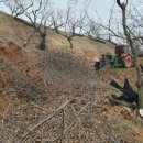 지업농장 이미지