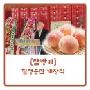 칠성농산