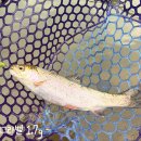 취병낚시터 이미지