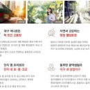 대구연경초등학교 이미지