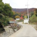 영천 정각리 삼층석탑 이미지