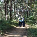 아리바우길 이미지