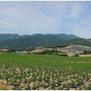 평원스테이 이미지