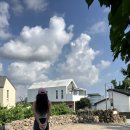 베프 예린이랑 제주 여행
