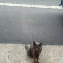 섬안경로당 이미지