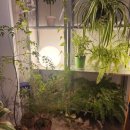 굿스터프 | [부천 원미] 디저트가 맛있는 '굿스터프' 카페 내돈내산 후기 민생지원금O