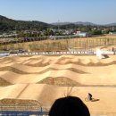BMX경기장 이미지