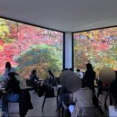 이야기Cafe 이미지