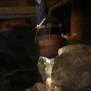 한 웅큼의 빛 이미지