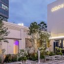 정자그린카 이미지